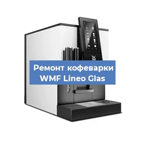 Замена счетчика воды (счетчика чашек, порций) на кофемашине WMF Lineo Glas в Перми